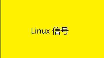 英特尔 Panther Lake R 处理器曝光：保留 P 核 + LPE 核，舍弃标准 E 核
