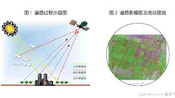 古尔曼：苹果硬件团队第二轮重组，斯鲁吉加速产品开发